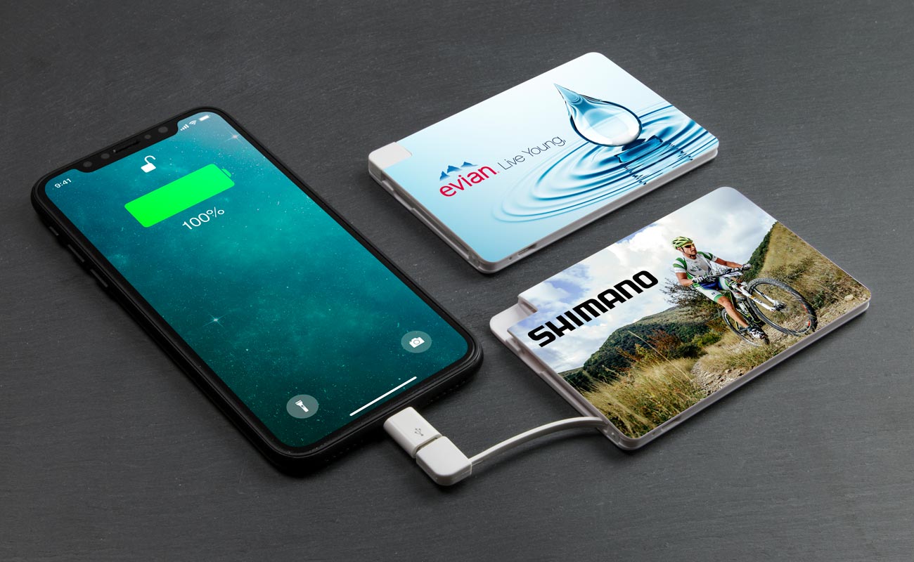 Life Expectancy Of A Power Bank Life Expectancy Of A Power Bank